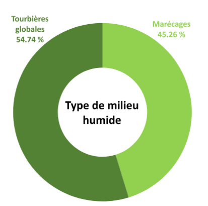 Type de milieu humide