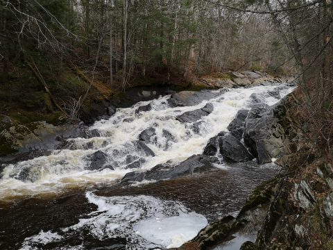 Rivière Jacquot Source Geneviève Légaré